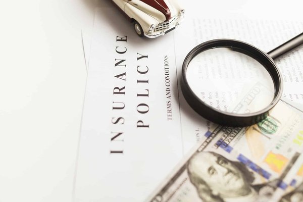 Quels sont les avantages et les inconvénients de l'assurance et de la mutuelle animale ?