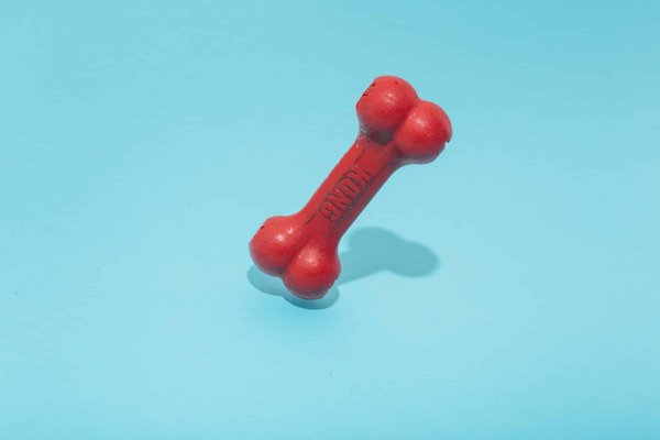 Comment choisir les jouets et les friandises de son animal ?