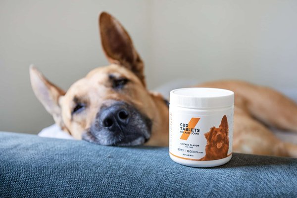 Comment reconnaître les signes de douleur ou de mal-être chez son animal ?